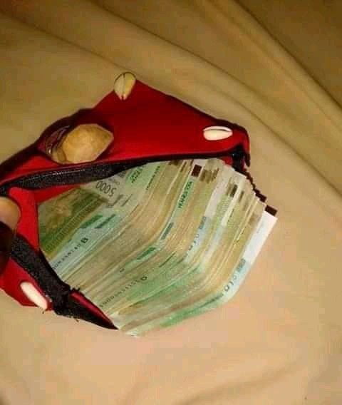 8fc94817a406e0cb4a3476fc01f77acb